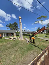 Tree Pruning in Middle Dural