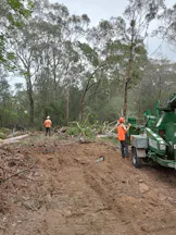 Land Clearing Services in Middle Dural