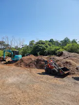 Tree Mulching in Middle Dural