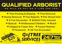 Arborists in North Wangaratta