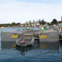 Logo of Barges Australia
