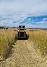 Land Clearing Services in Kings Meadows
