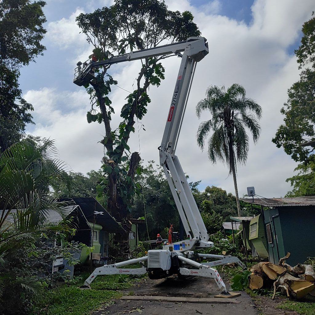 Logo of Forest Solutions FNQ