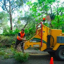 Logo of CTL Services - Tree Removal Adelaide