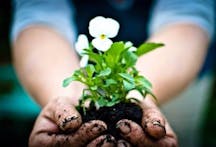 Landscaping Supplies in Cooroy