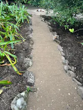 Landscaping Supplies in Doonan