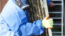 Asbestos Removal in Punchbowl