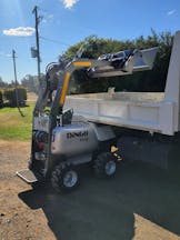Dingo for Hire in Dalby